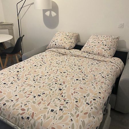 Bel Appartement T1 30M2 Centre Historique オーバーニュ エクステリア 写真